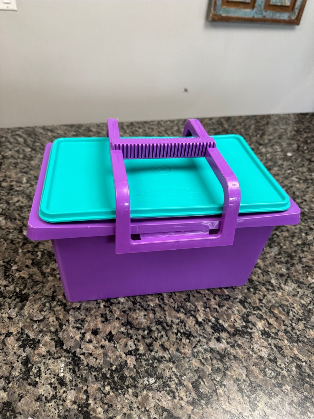 Tupperware Purple Container with Teal Lid and handle